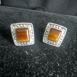 Joan Rivers Classics Collection Tigereye Clip Earrings